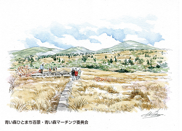 八甲田山の草原